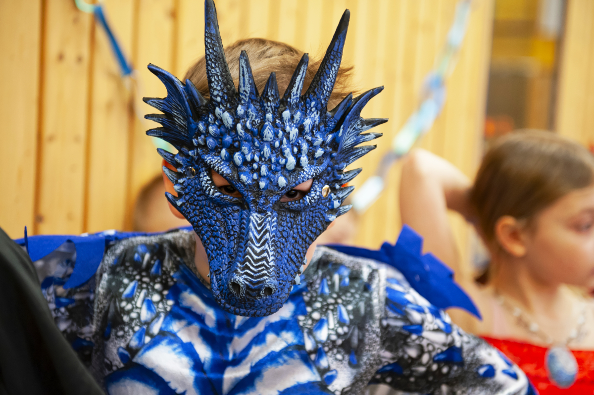 Bild vom Fasching